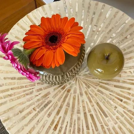 Definitief Gesloten Lejlighed Oostende