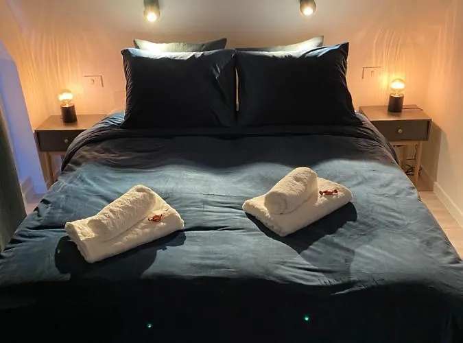 Definitief Gesloten Lejlighed Oostende