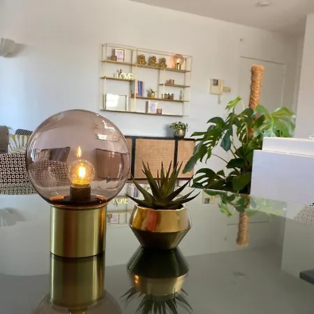 Definitief Gesloten דירה אוסטנדה